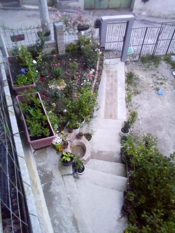 Apartman Turkana 2 Sarajevo Bagian luar foto